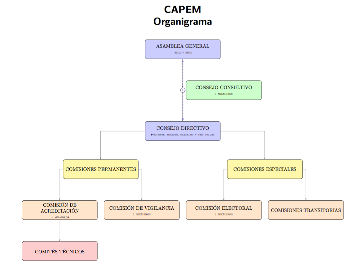 ORGANIGRAMA